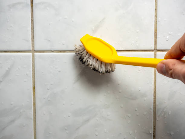 Best Local Mold Removal Service  in Pinardville, NH
